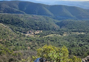 Tour Wandern Cuers - Pilon Saint Clément - Photo