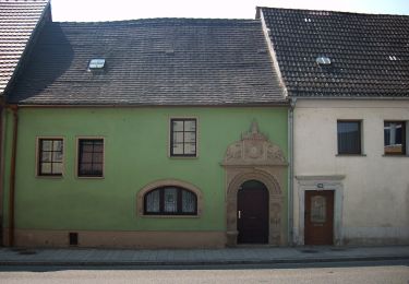 Percorso A piedi Laucha an der Unstrut - Ennsberg Rundweg - Photo