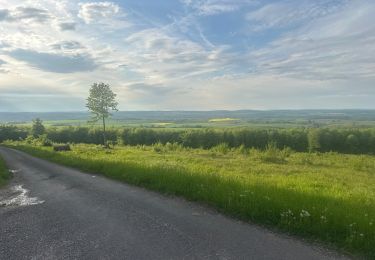 Excursión Senderismo Breurey-lès-Faverney - Le Chaumont  - Photo