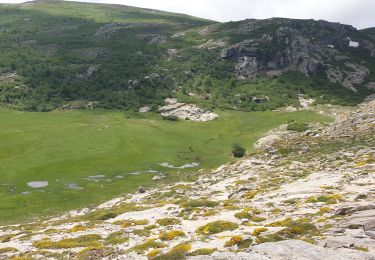 Trail Walking Albertacce - lac de nino(niellu) - Photo