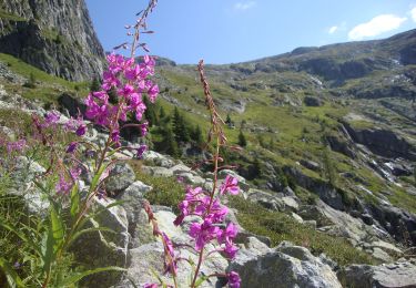 Tocht Te voet Castello Tesino - Sentiero di Socede - Photo