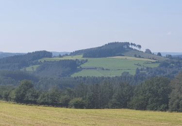 Tour Wandern Nassogne - rando nassogne 7/09/2021 - Photo