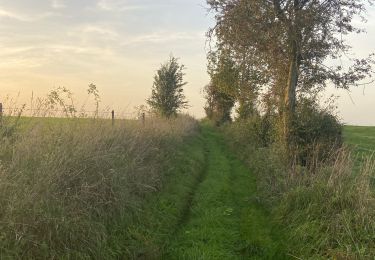 Tocht Stappen Philippeville - Jamagne variante - Photo