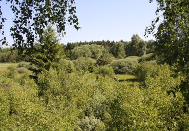 Excursión A pie Slatina - Naučná stezka Okolím viklanu - Photo