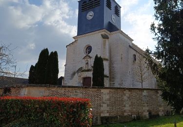 Tour Wandern Vauchassis - Balade Bois de Maître Jacques - Photo