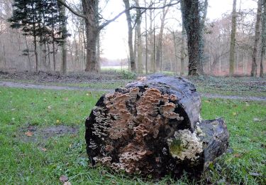 Trail On foot Arnhem - Wandelen door park Zypendaal en Sonsbeek - Photo