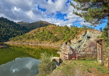 Percorso A piedi Bosio - Capanne Superiori di Marcarolo - Diga del Lago Bruno - Photo