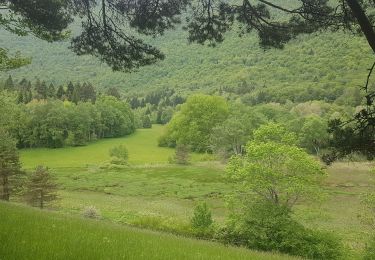 Trail Walking Claix - La Tourbière du Peuil - Photo