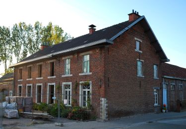 Tocht Te voet Glabbeek - Heirbaanwandelpad - Photo
