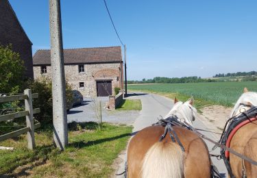 Percorso Carrozza Soignies - attelages - Photo