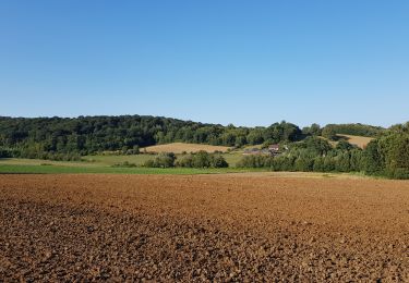 Trail Walking Grandrû - la vallée des 3 monts - Photo