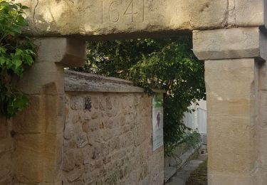 Randonnée Marche Méry-sur-Oise - AUVERS LES ARPENTS - Photo