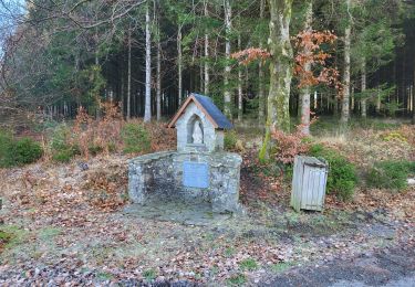 Trail Walking Bouillon - Vivy 140223 - Photo