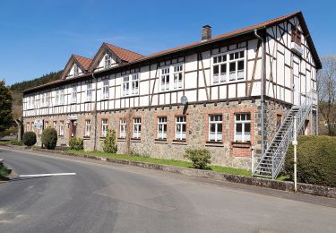 Percorso A piedi Biedenkopf - Reinhold-Fuhr-Weg - Photo