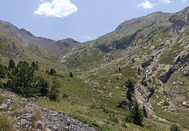 Tour Elektrofahrrad Bielsa - urdiceto - Photo