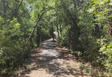 Trail Walking  - LINGYANSHAN SCENIC AREA  - Photo