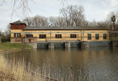 Randonnée A pied Germersheim - Rheinaue und Hochgestade - Photo