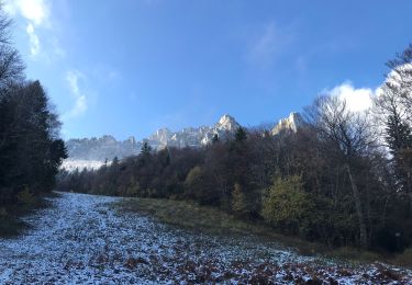 Trail Walking Plateau-des-Petites-Roches - L’Aulp du Seuil  - Photo