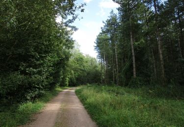 Tocht Te voet East Northamptonshire - Lyveden Way - Photo