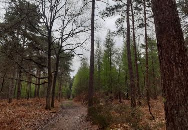 Trail Walking Fontaine-l'Abbé - Fontaine l'Abbé - Photo