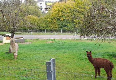 Tour Wandern Anthisnes - sparmont ac 10 - Photo