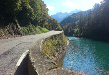 Excursión A pie Urdos - Sentier de Peyranère au Refuge de Larry PNP - Photo