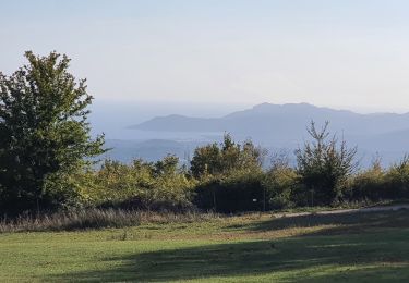 Excursión Senderismo Tourrettes-sur-Loup - PUY GOURMES - Photo