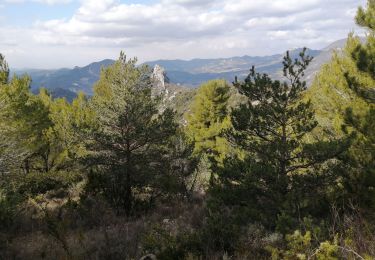 Trail Walking Buis-les-Baronnies - le saint julien - Photo