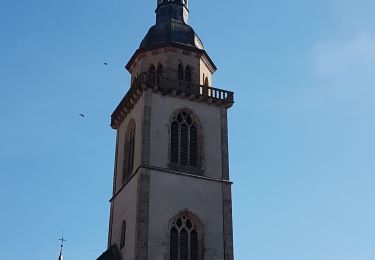 Tocht Stappen Andlau - Andlau - châteaux d'Andlau et du Spesbourg - Photo