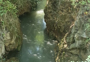 Randonnée Marche Bras - Bras le long du Cauron - Photo