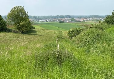 Tocht Stappen Kortenberg - Everberg 10,8 km - Photo