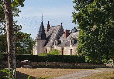 Randonnée Marche Veigné - Veigné - les Petits Partenais - 14.2km 130m 3h10 - 2022 08 13 - Photo