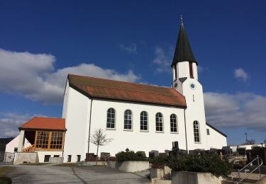 Percorso A piedi Etzenricht - Naabbergweg - Photo