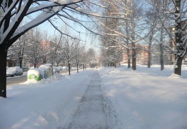 Trail On foot Goleszów - Przyroda nie zna granic / Přiroda nezná hranic - Photo