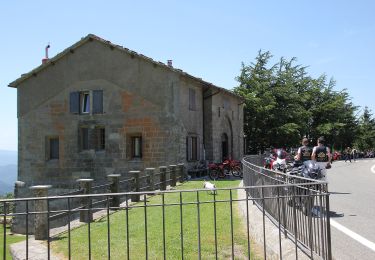 Tocht Te voet San Godenzo - Sogenti di Firenze Trekking - Anello Principale - Photo