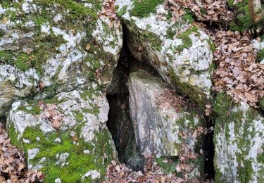 Excursión Senderismo Pourrières - Pourrieres le pain de munition  - Photo