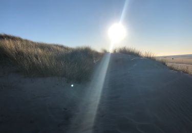 Percorso Marcia Koksijde - Ostduinkerke bray-dunes - Photo