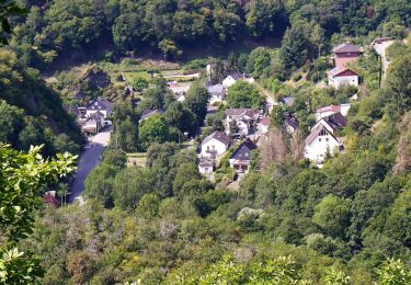 Tocht Te voet Heidenrod - Dickschieder Wildwechsel - Photo