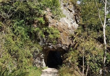 Percorso Marcia Metzeral - Steinabruck - Le Hohneck et ses 3 lacs Fischboedle, Altenweiher et Schiessrothried - Photo