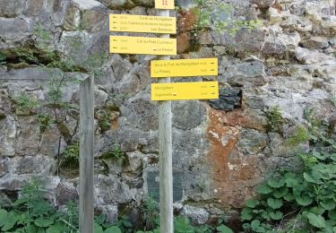 Tocht Stappen Saint-Alban-d'Hurtières - col du GD cucheron / les granges - Photo