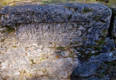 Tocht Stappen Les Contamines-Montjoie - conda 3 - Photo