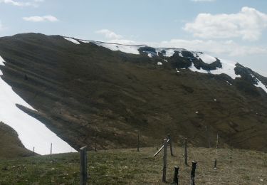Percorso Marcia Val-Maravel - Le Luzet - Montagne Chauvet (Val-Maravel en Diois)... - Photo