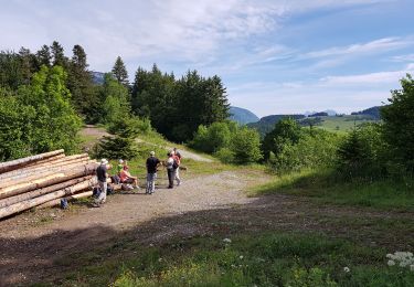 Percorso Camminata nordica Saint-Nizier-du-Moucherotte - Saint Nizier - Croix Lichou - Photo