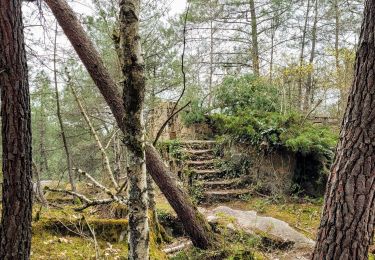 Randonnée Marche Noisy-sur-École - Boucle les trois pignons Fontainebleau - Photo