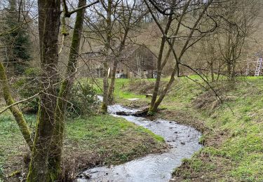 Percorso Marcia Houyet - Hulsonniaux - Photo