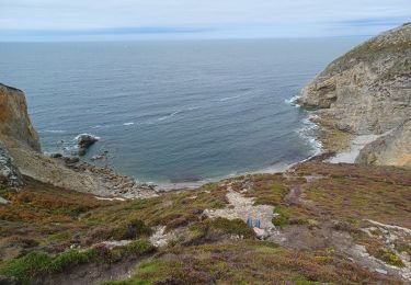 Randonnée Marche Crozon - Cap de la Chèvre (Boucle) - Photo