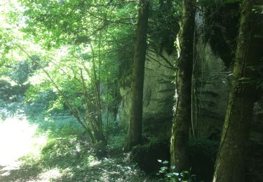 Tocht Stappen Miribel-les-Échelles - Av Pascal  - Photo