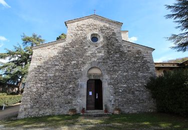 Percorso A piedi Gaiole in Chianti - Trekking tra i castelli 10 - Photo