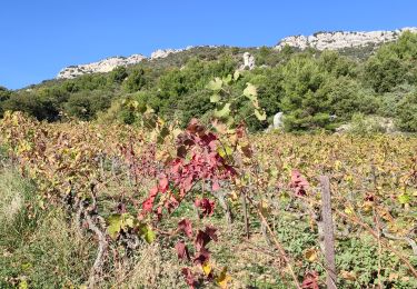 Trail Walking Buis-les-Baronnies - Milmandre  Ubrieux Buis  - Photo