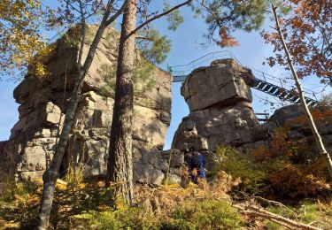 Trail Walking Saulcy-sur-Meurthe - massif kemberg - Photo